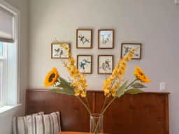 BoiseBnB Bird House - Image 2