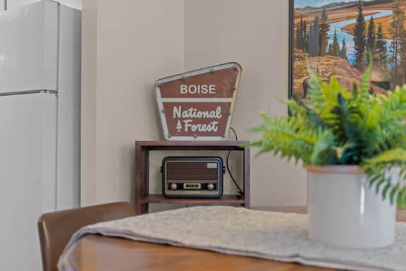 Boise's Lost Treasure